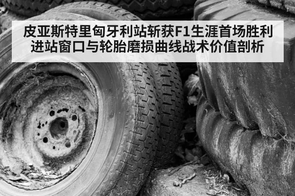 F1 tire degradation