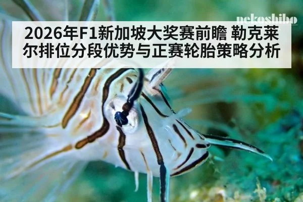 2026年F1新加坡大奖赛前瞻 勒克莱尔排位分段优势与正赛轮胎策略分析