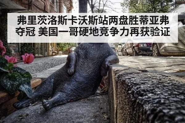 弗里茨洛斯卡沃斯站两盘胜蒂亚弗夺冠 美国一哥硬地竞争力再获验证
