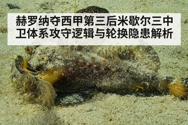 赫罗纳夺西甲第三后米歇尔三中卫体系攻守逻辑与轮换隐患解析